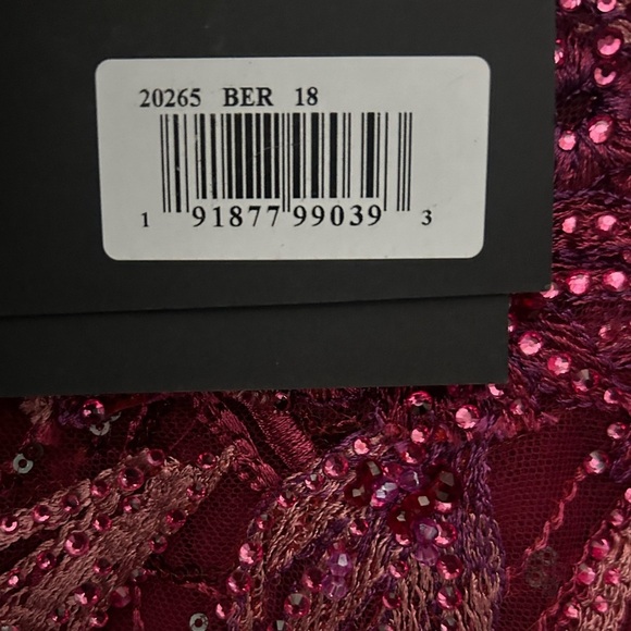 Ieena for Mac Duggal 20265 NWT Embroidered Sleeveless Plunge Neck A Line Gown - Picture 6 of 8